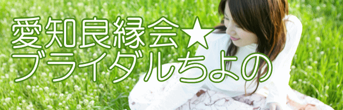 ���m�ǉ�� �u���C�_�������